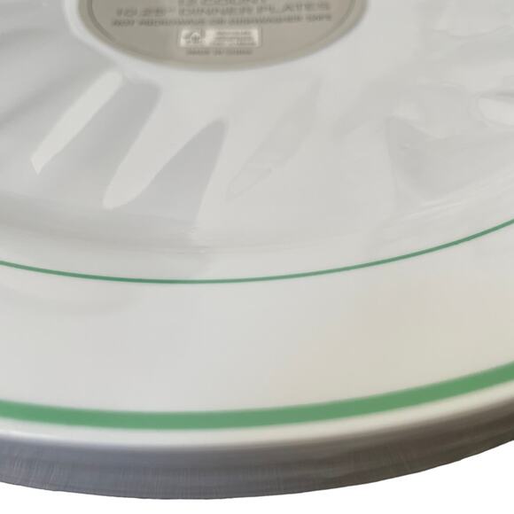 12 Count SHABBY CHIC Summer Green White 10.25" Disposable Dinner Plates NEW - Picture 7 of 11